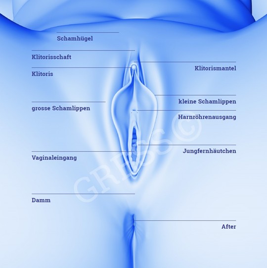 Klitoris vorhaut entfernen